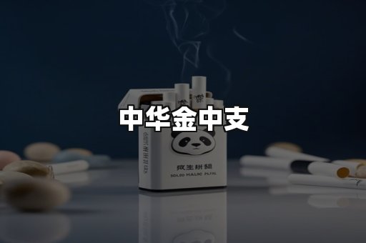 中华金中支